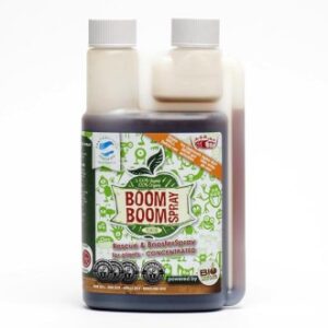 Boom Boom Spray 250 ml