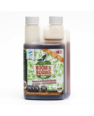 Boom Boom Spray 250 ml