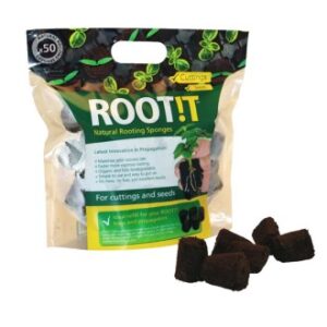 Root!T Viyol - 50 Adet